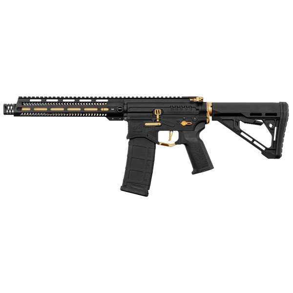 Réplique R15 Zion Arms Noire/Or : Précision et Élégance Assurées