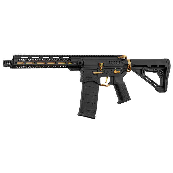 Réplique R15 Zion Arms Noire/Or : Précision et Élégance Assurées
