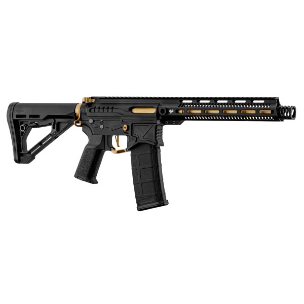 Réplique R15 Zion Arms Noire/Or : Précision et Élégance Assurées