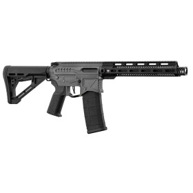Réplique R15 Zion Arms : Précision et Réalisme pour l'Airsoft