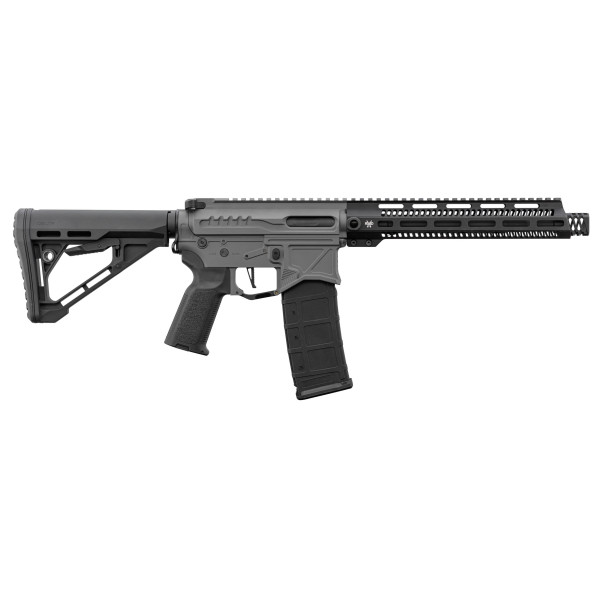 Réplique R15 Zion Arms : Précision et Réalisme pour l'Airsoft