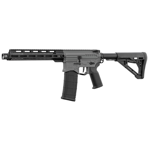 Réplique R15 Zion Arms : Précision et Réalisme pour l'Airsoft