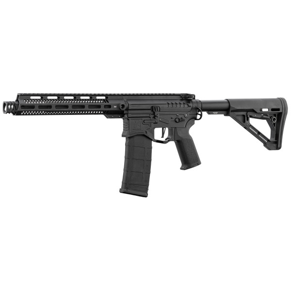 Réplique R15 Zion Arms : Précision et Ergonomie pour Airsoft