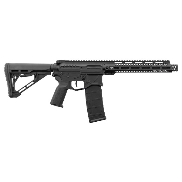 Réplique R15 Zion Arms : Précision et Ergonomie pour Airsoft