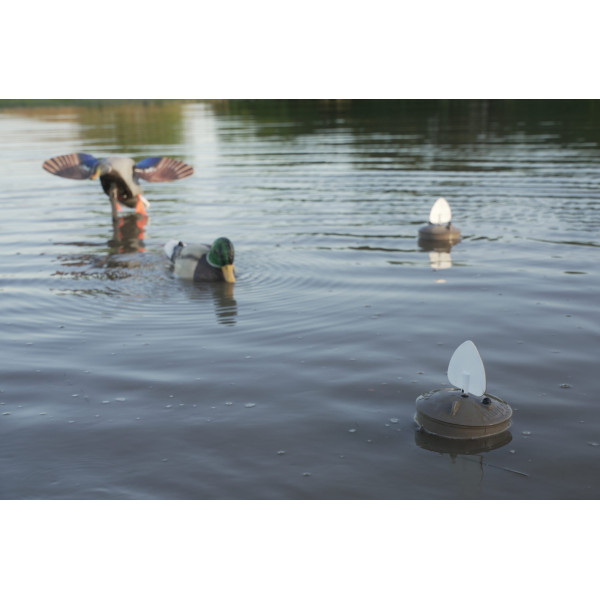 Leurre MOJO Flock A Flicker 2 : Attirez les Canards avec Réalisme