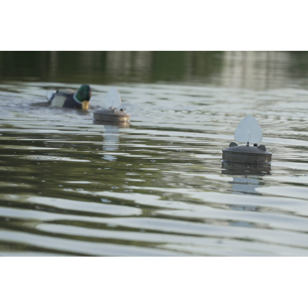 Leurre MOJO Flock A Flicker 2 : Attirez les Canards avec Réalisme