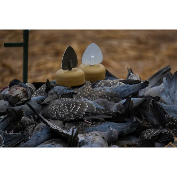 Leurre MOJO Dove A Flicker x4 : Attirez les Colombidés avec Réalisme