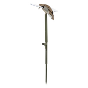 Appelant Tourterelle MOJO : Attirez Plus d'Oiseaux Migrateurs !