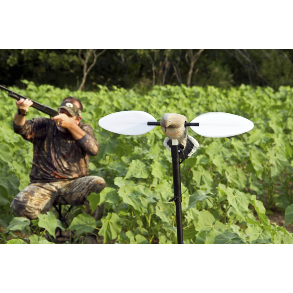 Appelant Tourterelle MOJO : Attirez Plus d'Oiseaux Migrateurs !