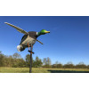 Appelant Canard Électrique : Réalisme et Autonomie 10h