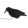 Manège à Corbeaux Électrique : Attirez Plus de Corvidés Facilement