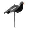 Appelant Pigeon Anglais en Polymère : Attirez Plus de Gibier !