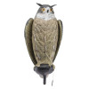 Appelant Grand Duc Ailes Battantes : Attirez Plus de Gibier Facilement