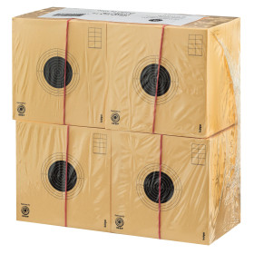 Cibles 10x10 cm : Précision optimale pour tir à la carabine