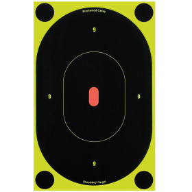 Cibles Shoot-N-C : Impacts Visibles, Précision Maximale à Distance