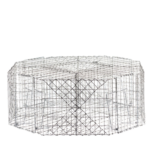 Cage à Pies 4 Compartiments : Capturez Jusqu'à 4 Oiseaux Facilement