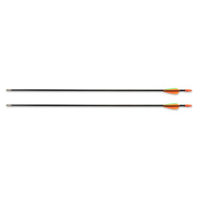 Pack Arc Flyte 54'' 15 lbs : Idéal pour Débutants et Jeunes Archers
