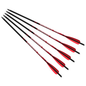 Pack de 5 Traits Carbone Barnett 20'' : Précision et Vitesse Maximales
