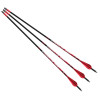 Flèches Barnett HyperFlite™ 20" : Précision et Pénétration Maximales