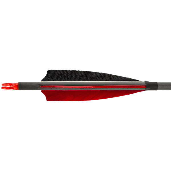Flèches Carbone 32'' Spin 340 : Précision et Stabilité Optimales