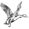 Pin's Canard Jack Pyke : Élégance et Passion pour la Chasse