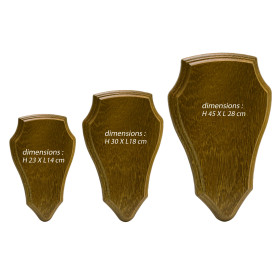 Écusson en Chêne : Sublimez Vos Trophées de Chevreuil et Cerf
