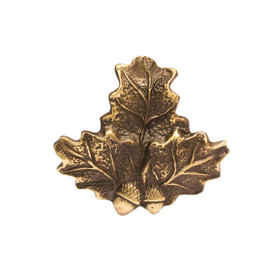 Élégance et robustesse : Porte Trophée Sanglier Feuille de Chêne