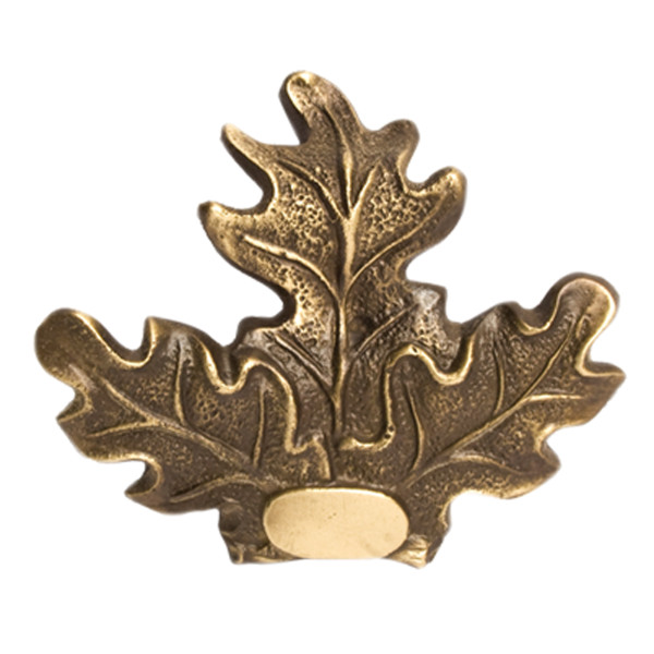 Élégance et robustesse : Porte Trophée Sanglier Feuille de Chêne