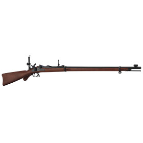 Fusil Springfield Trapdoor : Précision Longue Distance Inégalée