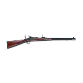 Fusil Springfield Trapdoor Officer .45/70 : Précision et Puissance