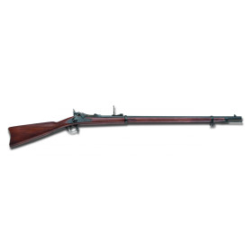 Fusil Springfield Trapdoor .45/70 : Précision et Rechargement Rapide