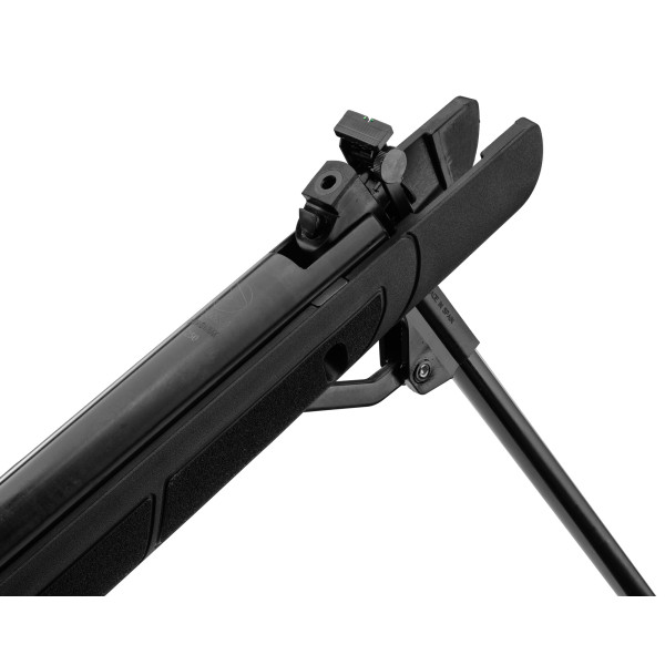 Pack Carabine Gamo G-Magnum 1250 IGT : Puissance et Précision