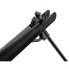 Pack Carabine Gamo G-Magnum 1250 IGT : Puissance et Précision