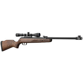 Carabine Gamo Hunter 440 AS 4,5 mm : Précision et Confort Assurés