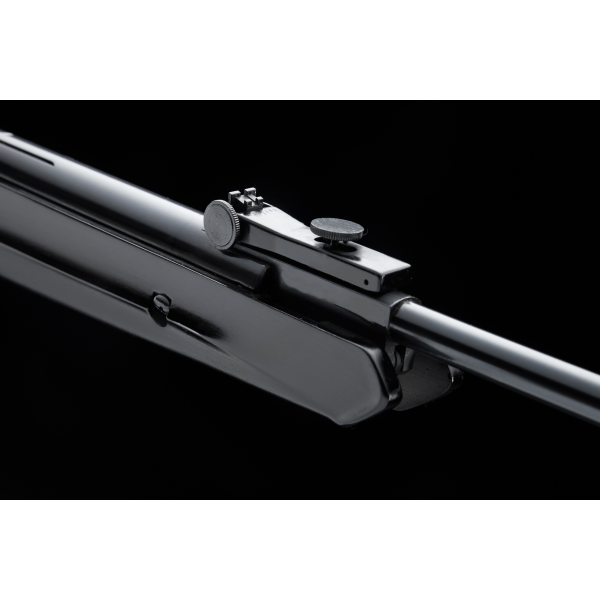 Carabine SR1200S C4.5 : Précision et Confort pour le Tir de Loisirs