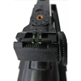 Pack Carabine LB600 4.5mm 10J - Précision et Confort Inclus