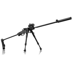 Pack Carabine Little Badger 22LR : Compacte, Discrète et Polyvalente