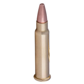 Cartouches CCI .17 HMR 20 grains : Précision et Impact Maîtrisé
