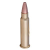 Cartouches CCI .17 HMR 20 grains : Précision et Impact Maîtrisé