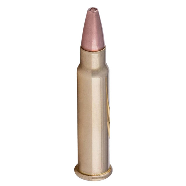 Cartouches CCI .17 HMR 20 grains : Précision et Impact Maîtrisé
