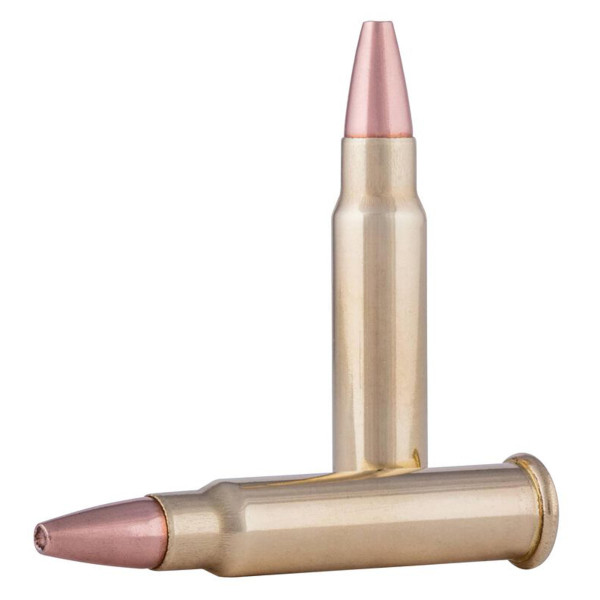 Cartouches CCI .17 HMR 20 grains : Précision et Impact Maîtrisé