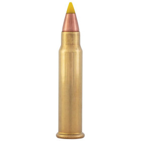 Cartouches CCI .17 HMR : Précision et Expansion pour Petit Gibier