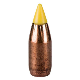 Cartouches CCI .17 HMR : Précision et Expansion pour Petit Gibier
