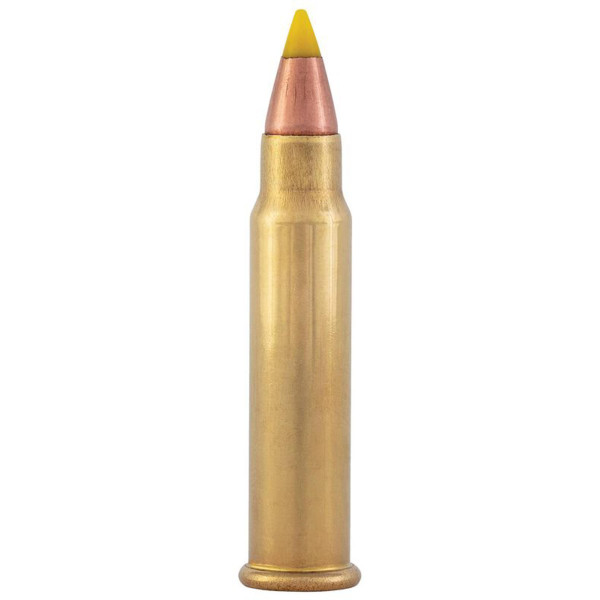 Cartouches CCI .17 HMR : Précision et Expansion pour Petit Gibier