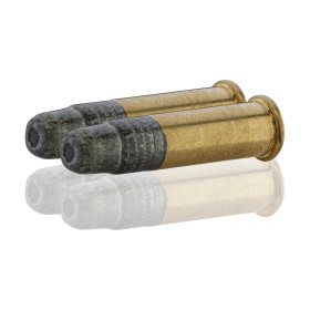 Munitions Subsonic 22 LR 42g : Précision et Discrétion Assurées