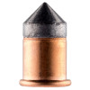 Cartouches 9 mm Flobert : Précision et Fiabilité pour le Tir Loisir