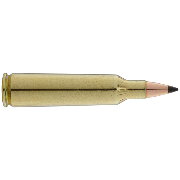 Winchester 22-250 REM Varmint-X : Précision et Impact Puissant
