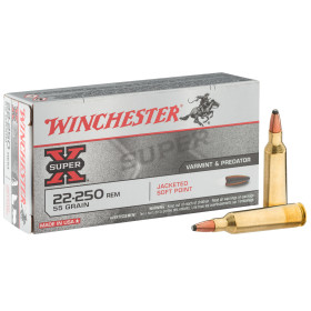 Winchester 22-250 REM JSP 55 gr : Précision et Impact Puissant