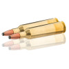Winchester 22-250 REM JSP 55 gr : Précision et Impact Puissant