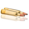Winchester 22-250 REM JSP 55 gr : Précision et Impact Puissant